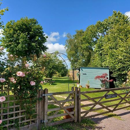 Hopgarden Glamping Luxury Shepherds Huts Wadhurst المظهر الخارجي الصورة
