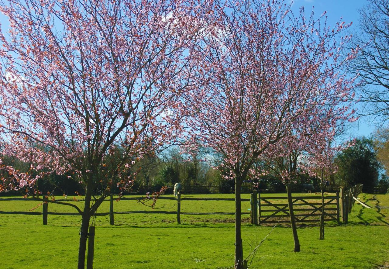 Hopgarden Glamping Luxury Shepherds Huts Wadhurst المظهر الخارجي الصورة