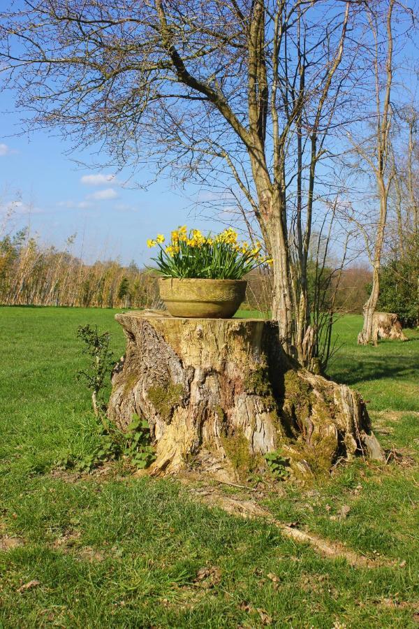 Hopgarden Glamping Luxury Shepherds Huts Wadhurst المظهر الخارجي الصورة