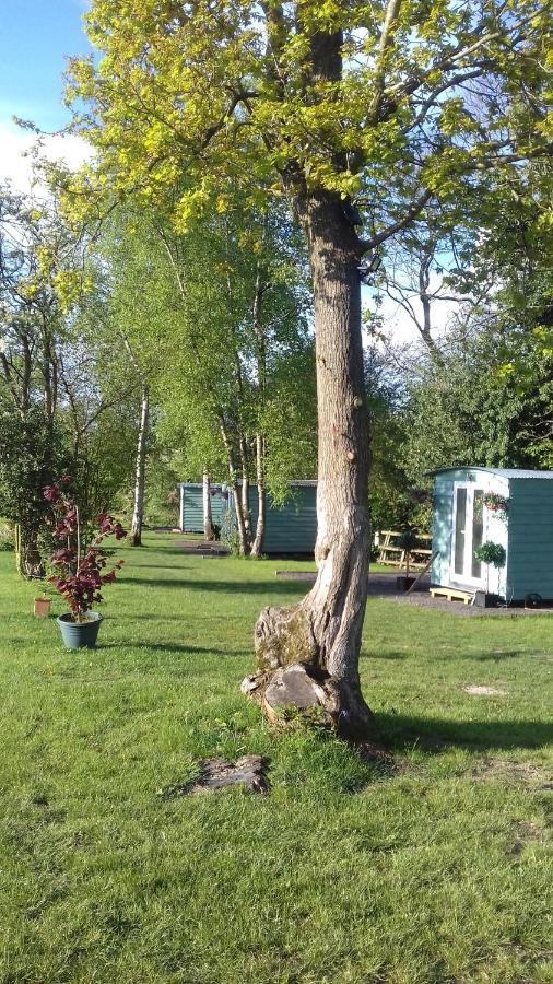 Hopgarden Glamping Luxury Shepherds Huts Wadhurst المظهر الخارجي الصورة