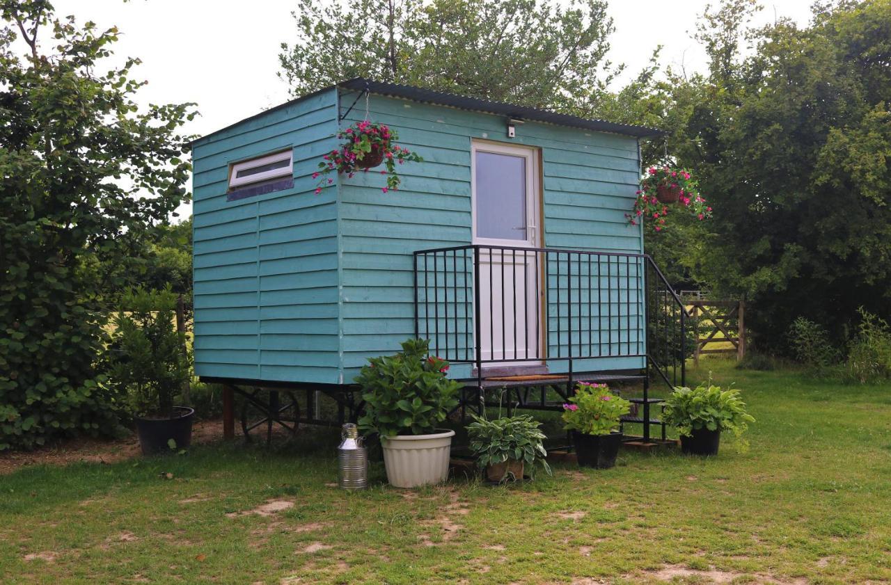 Hopgarden Glamping Luxury Shepherds Huts Wadhurst المظهر الخارجي الصورة