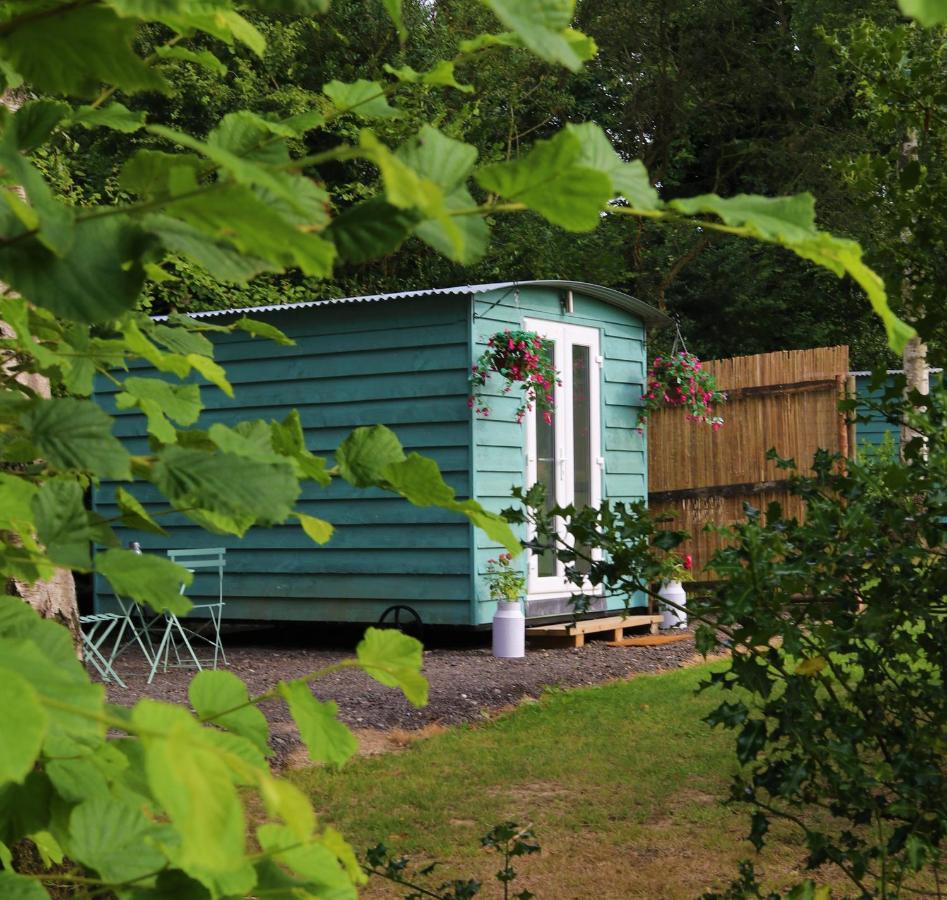 Hopgarden Glamping Luxury Shepherds Huts Wadhurst المظهر الخارجي الصورة