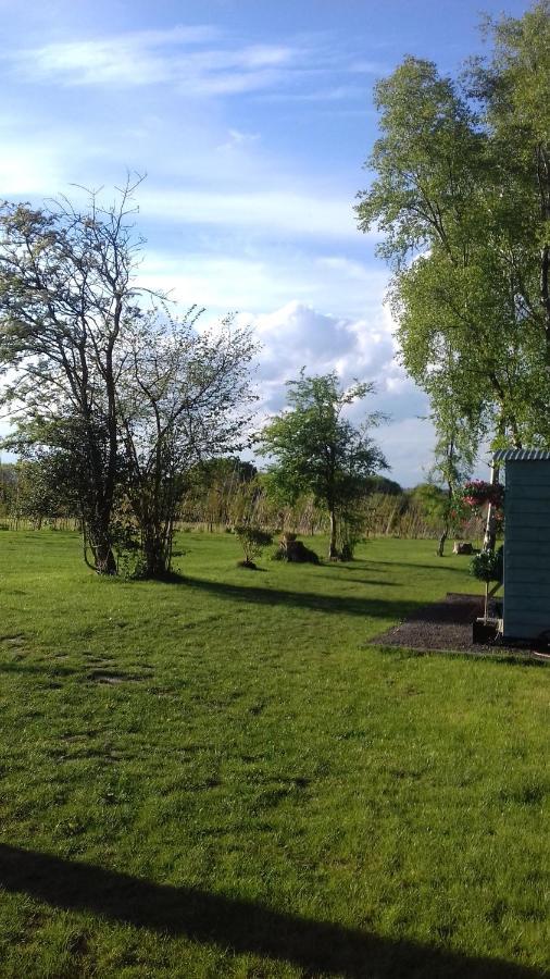 Hopgarden Glamping Luxury Shepherds Huts Wadhurst المظهر الخارجي الصورة