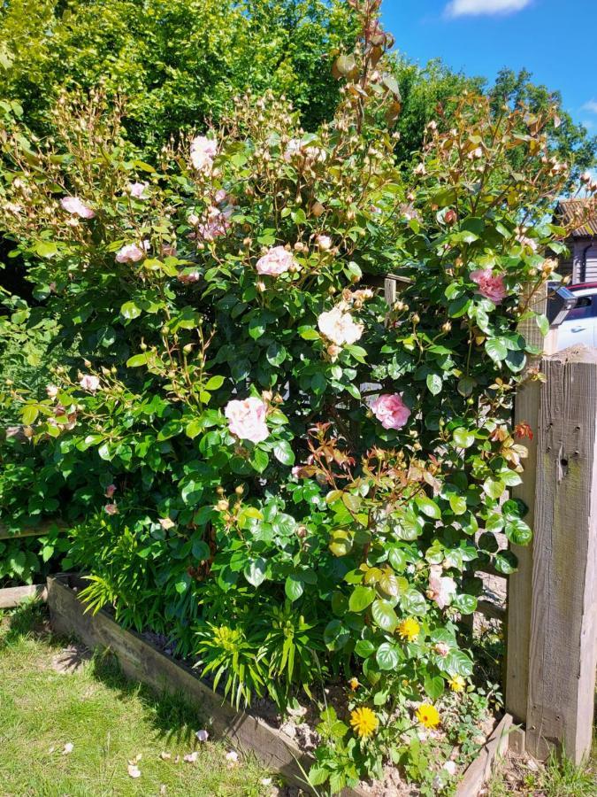 Hopgarden Glamping Luxury Shepherds Huts Wadhurst المظهر الخارجي الصورة