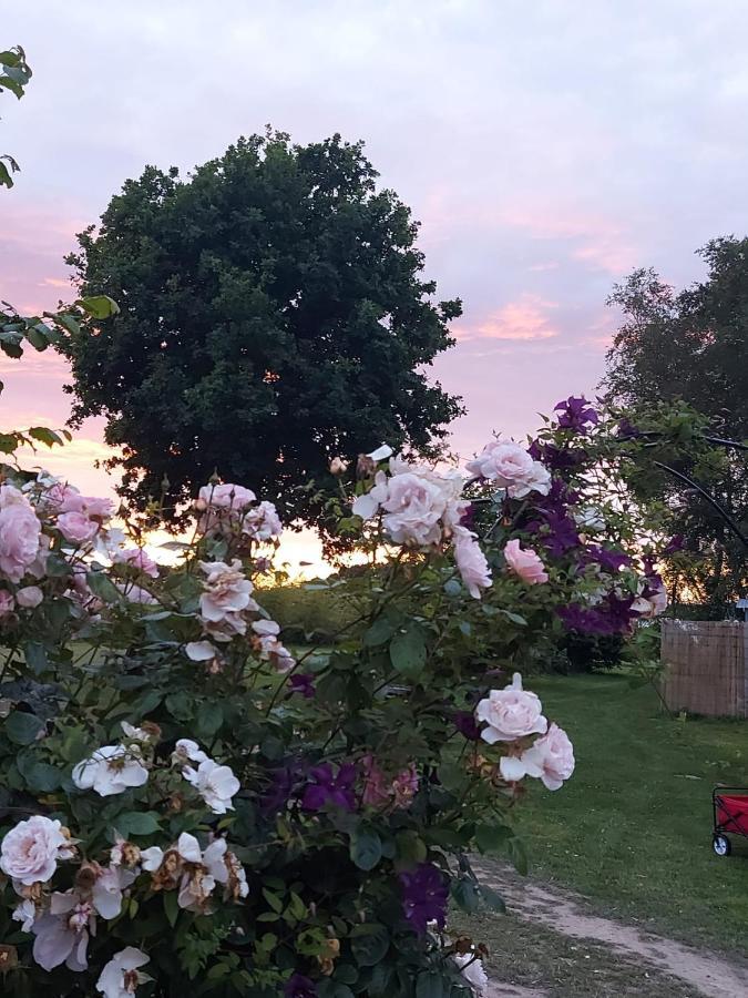 Hopgarden Glamping Luxury Shepherds Huts Wadhurst المظهر الخارجي الصورة